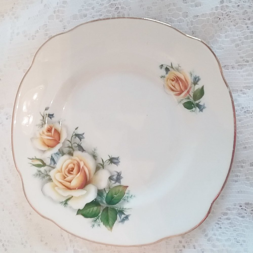 Duchess Yellow Rose 6"